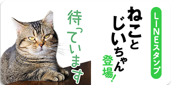 LINEスタンプ ねことじいちゃん登場！